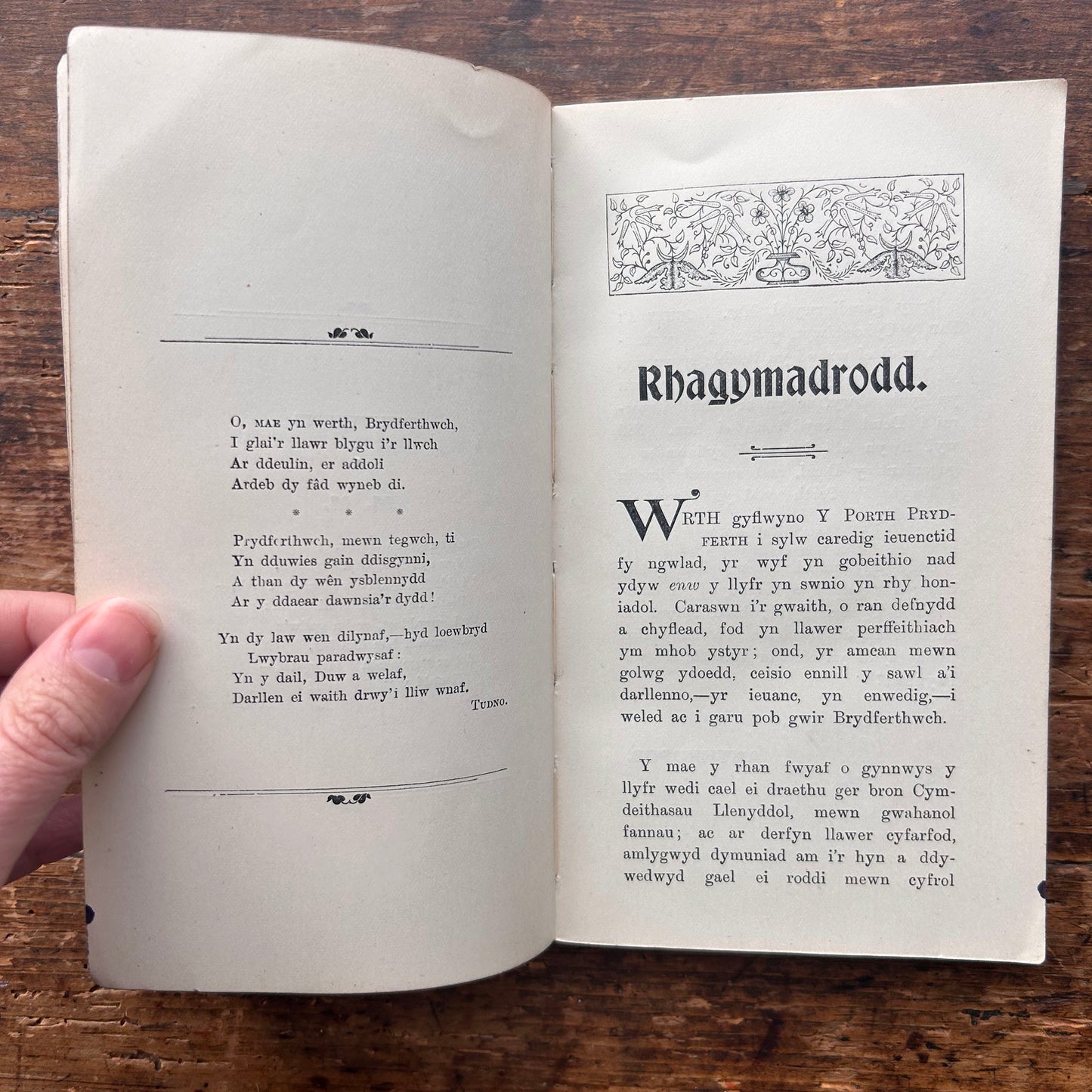 Y Porth Prydferth - Anthropos - 1904 (Preloved)