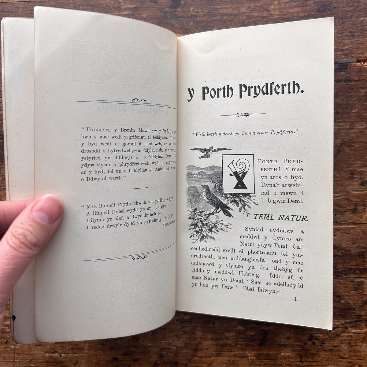 Y Porth Prydferth - Anthropos - 1904 (Preloved)