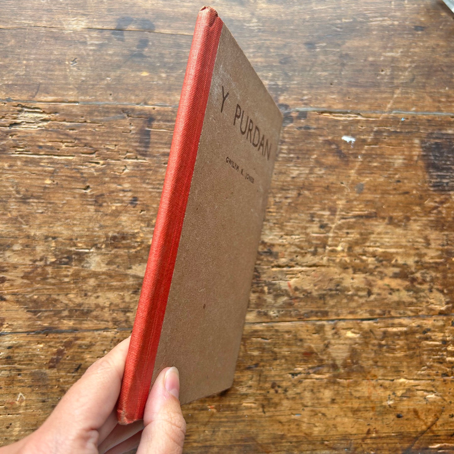Y Purdan - Gwilym R. Jones (Preloved)