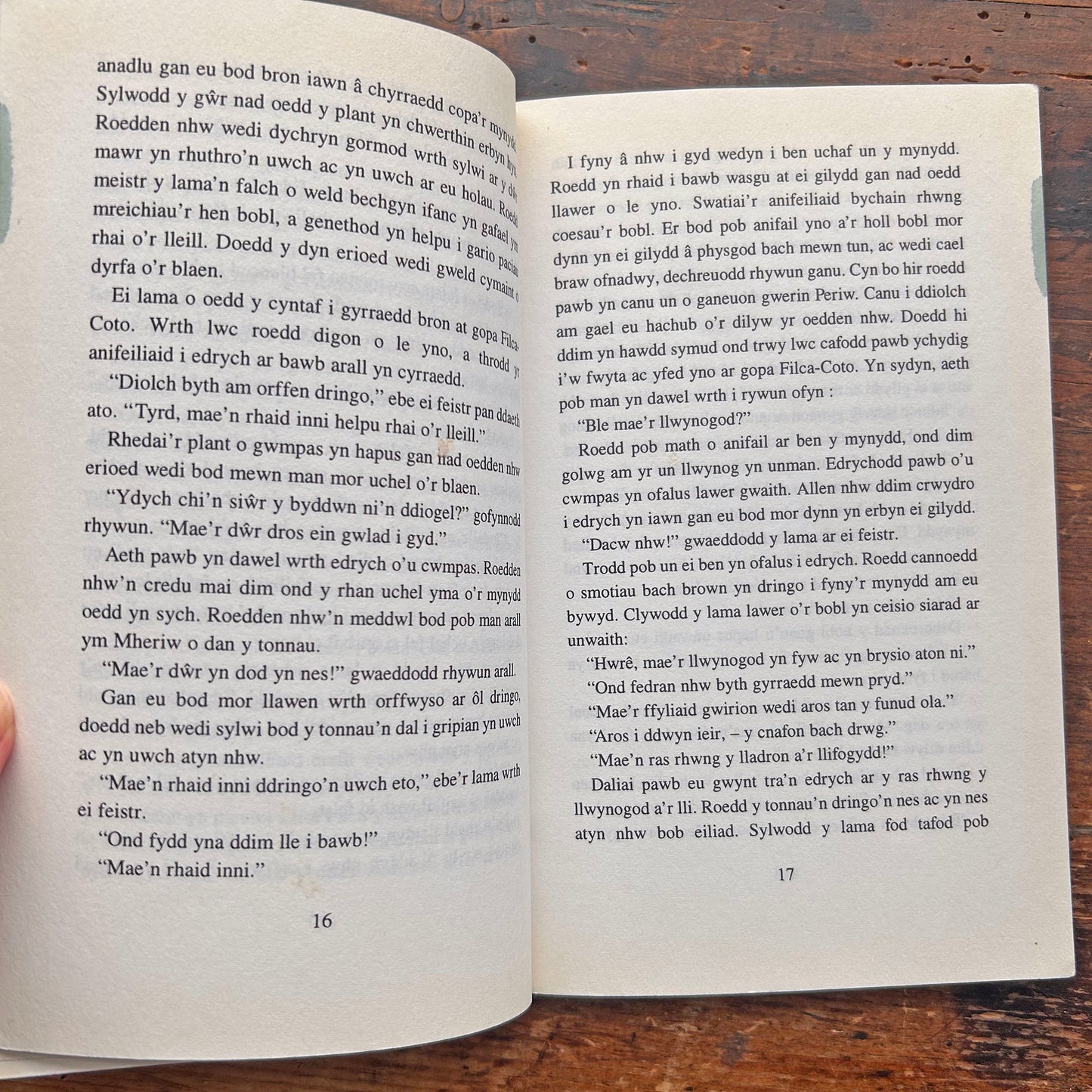 Y Pysgoden Coch / The Red Fish (Preloved)