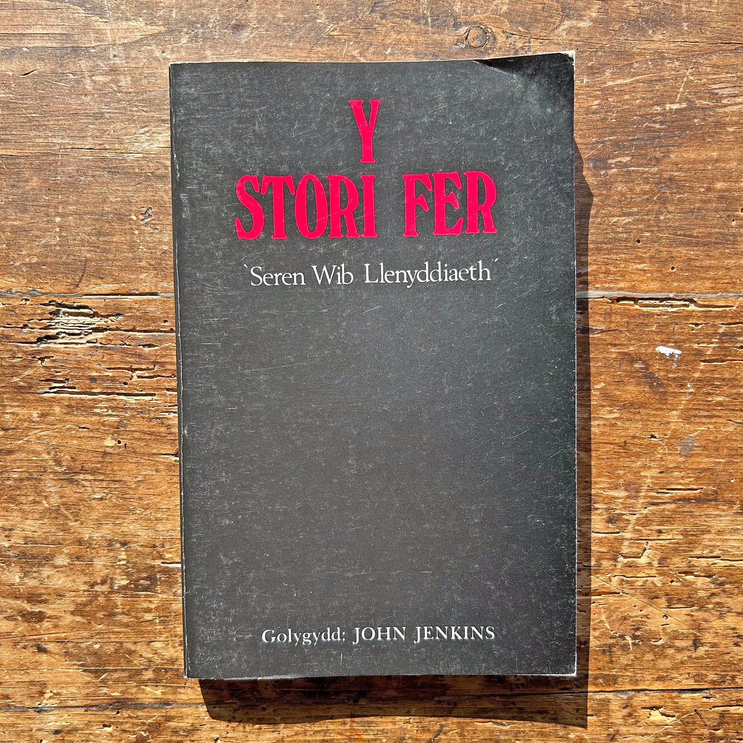 Y Stori Fer - Seren Wib Llenyddiaeth - John Jenkins 1979 (Preloved)