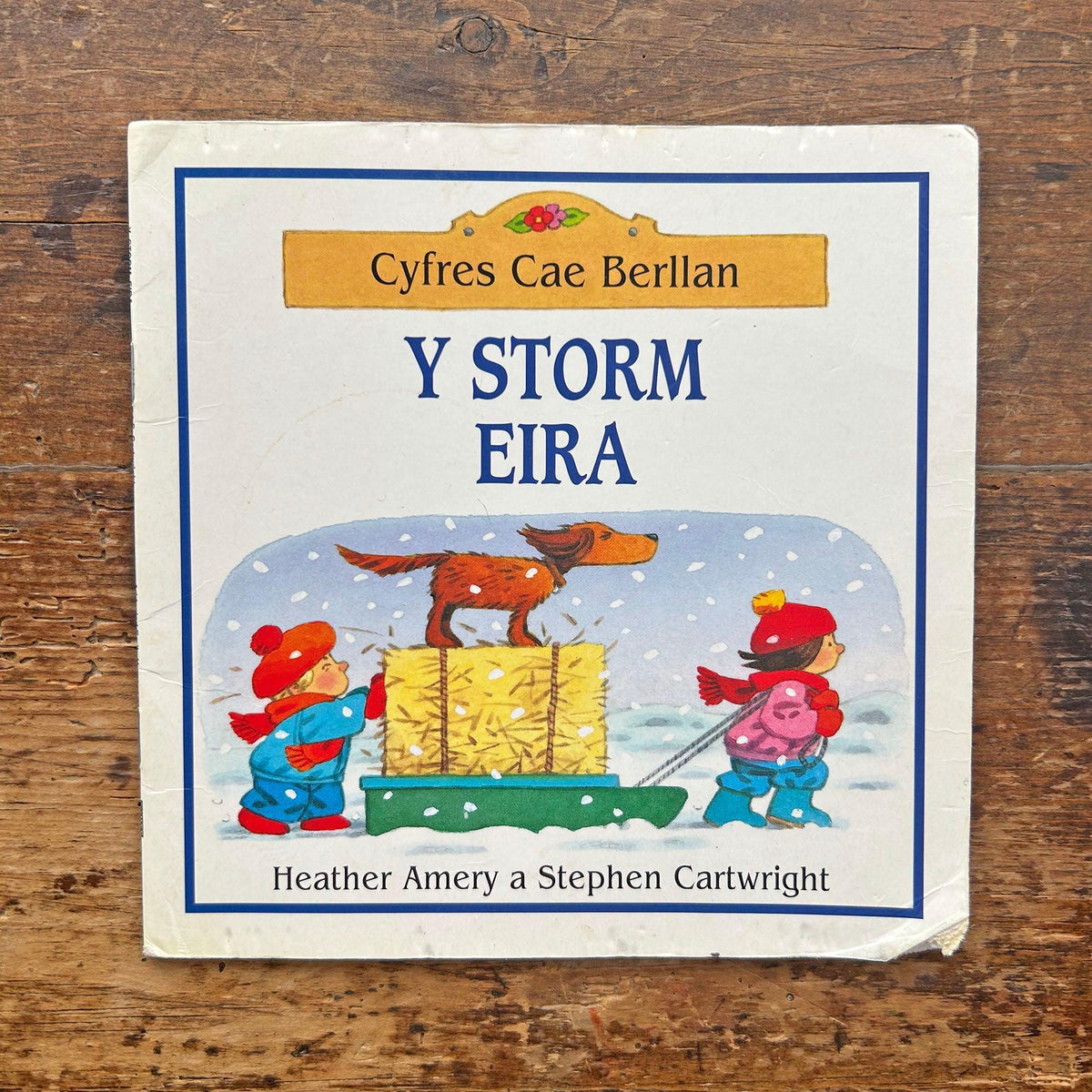 Y Storm Eira - Cyfres Cae Berllan (Preloved)
