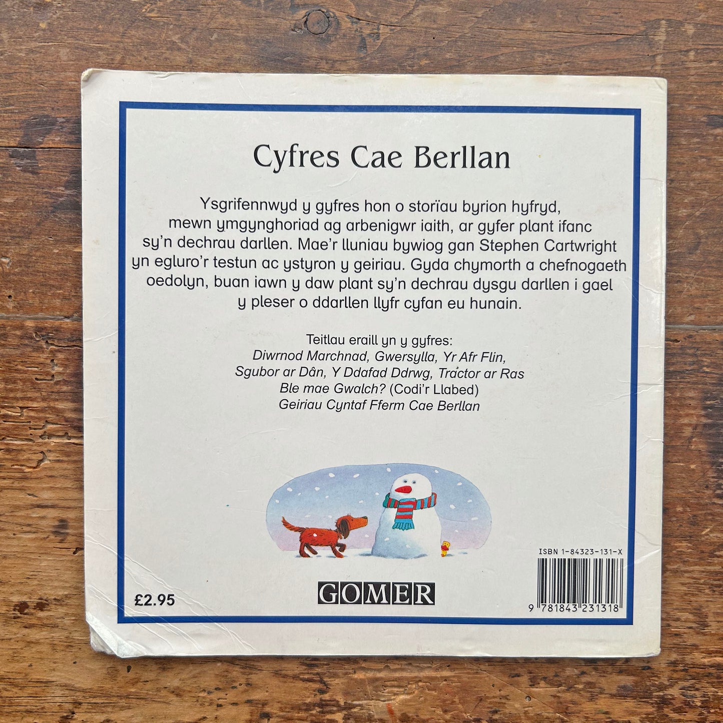 Y Storm Eira - Cyfres Cae Berllan (Preloved)