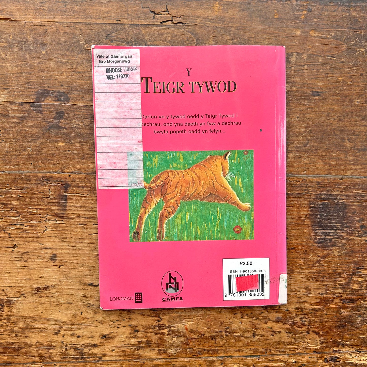 Y Teigr Tywod / Sand Tiger (Preloved)