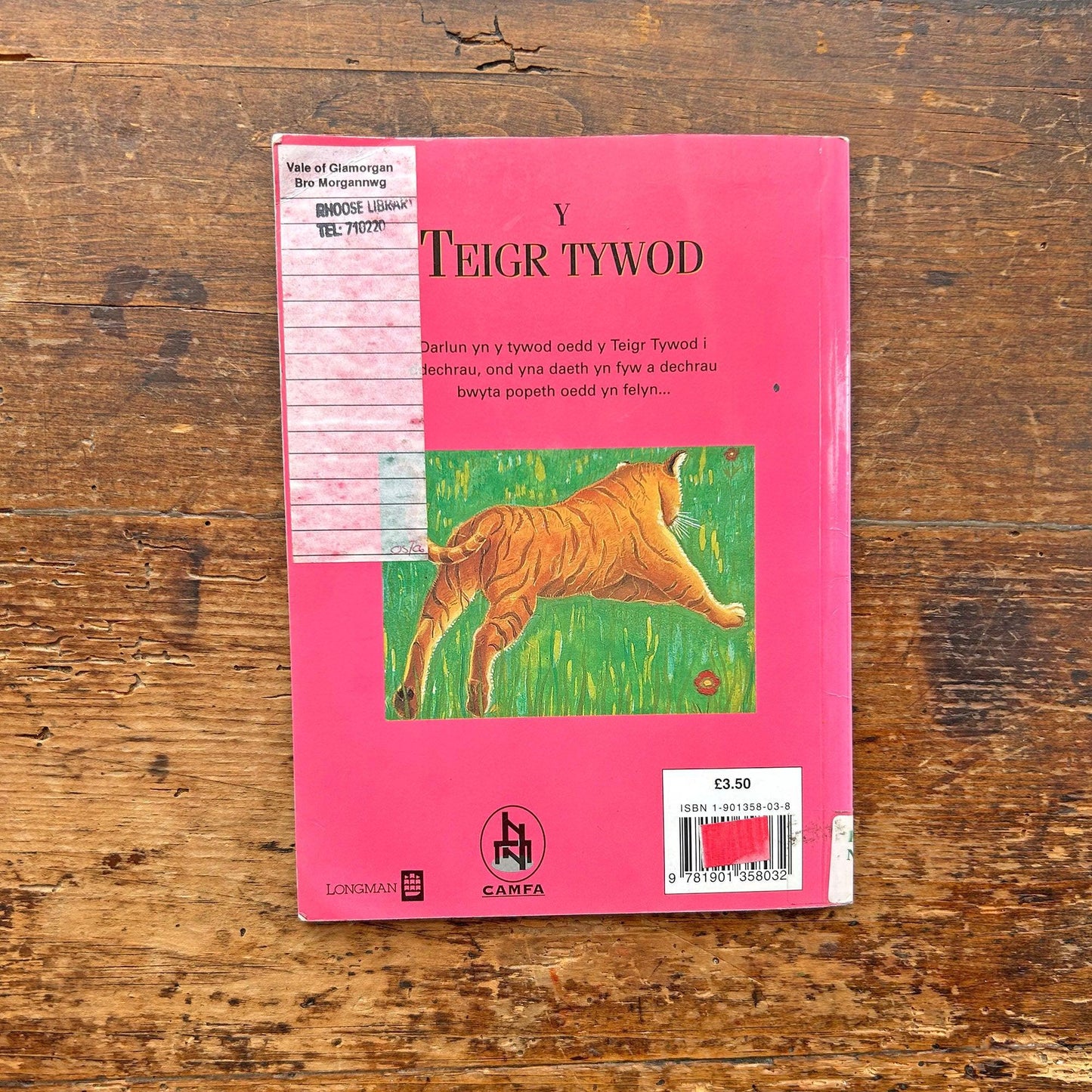 Y Teigr Tywod / Sand Tiger (Preloved)