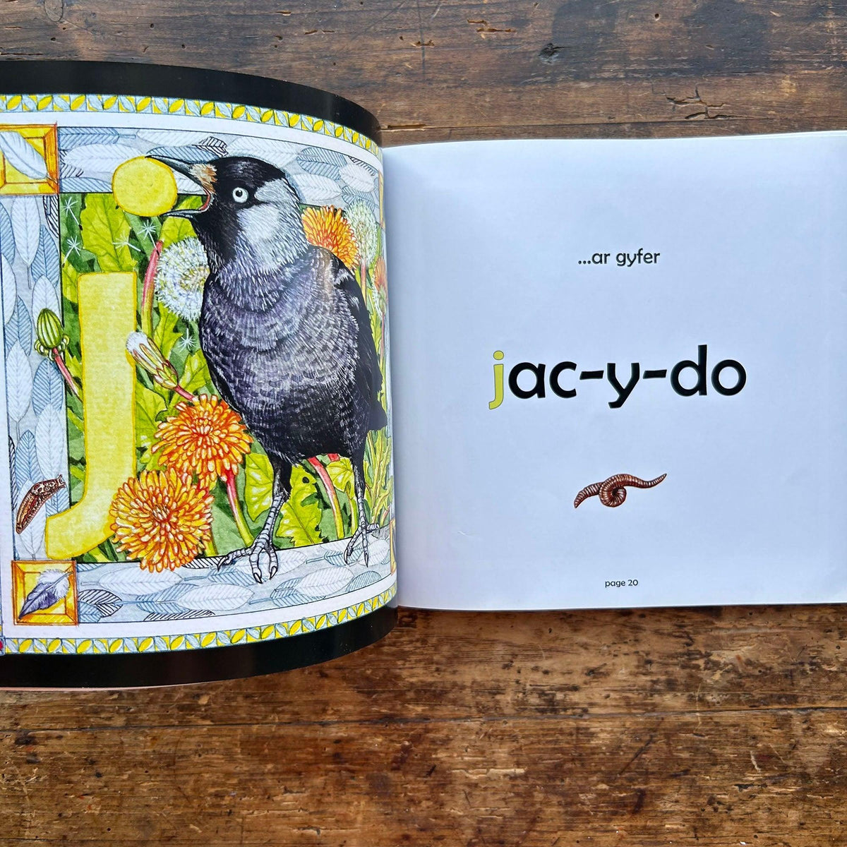Y Wyddor Wyllt Gymraeg - A Wild Welsh Alphabet
