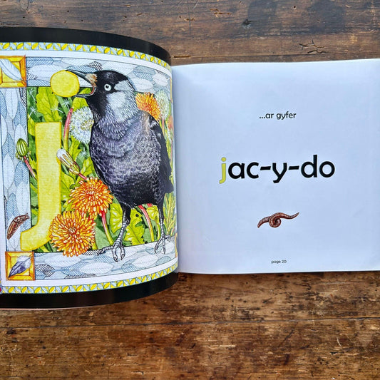 Y Wyddor Wyllt Gymraeg - A Wild Welsh Alphabet (Preloved)