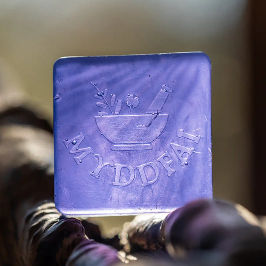 Gift Set - Myddfai - Someone Special / I Rywun Arbennig - Lavender