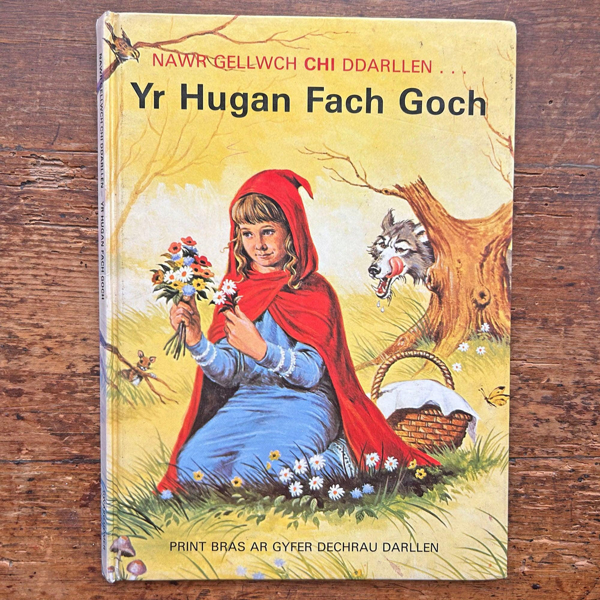 Yr Hugan Fach Goch - Nawr Gellwch Chi Ddarllen - Vintage (Preloved)