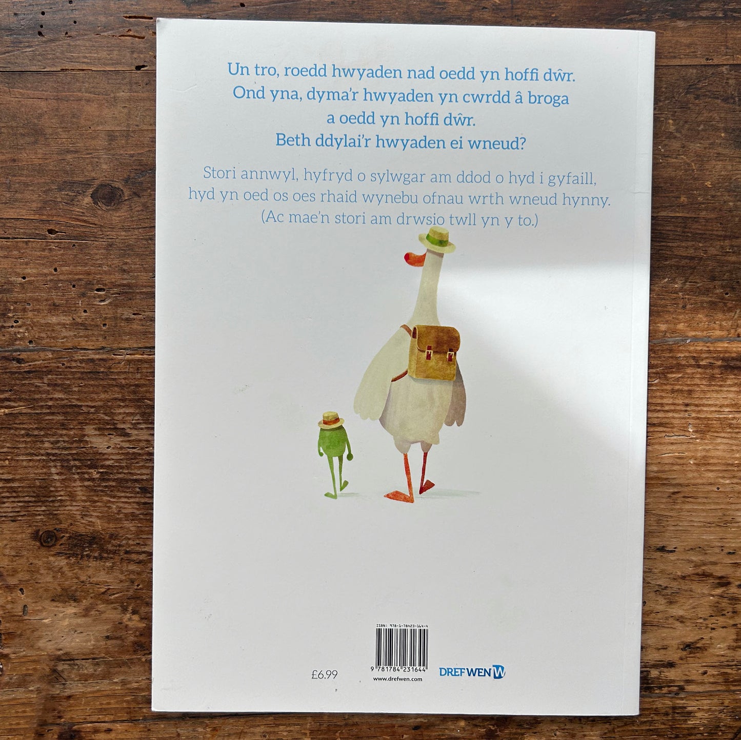 Yr Hwyaden Nad Oedd Yn Hoffi Dwr - Steve Small (Preloved)