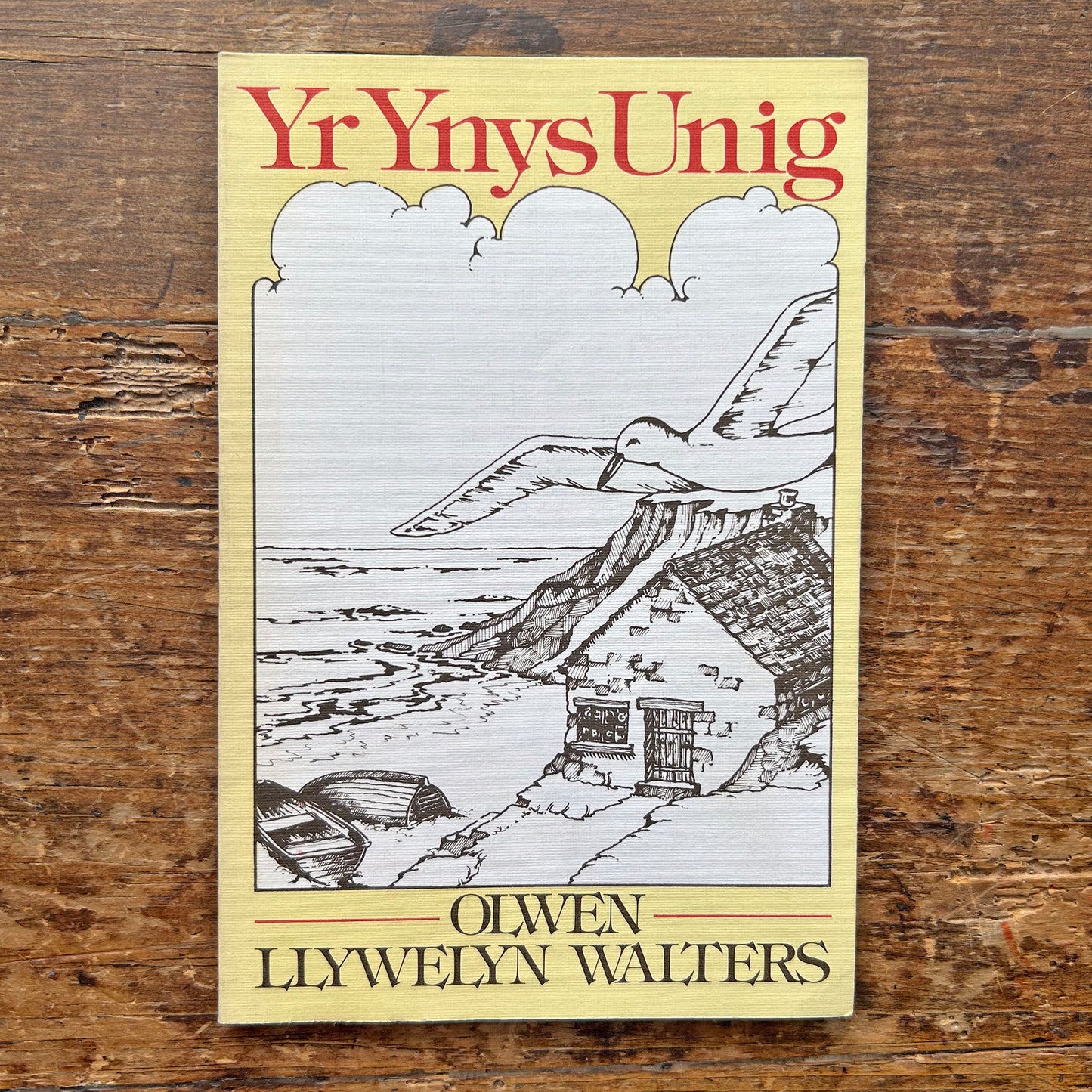 Yr Ynys Unig - Olwen Llywelyn Walters - Ghost Story - Signed (Preloved)