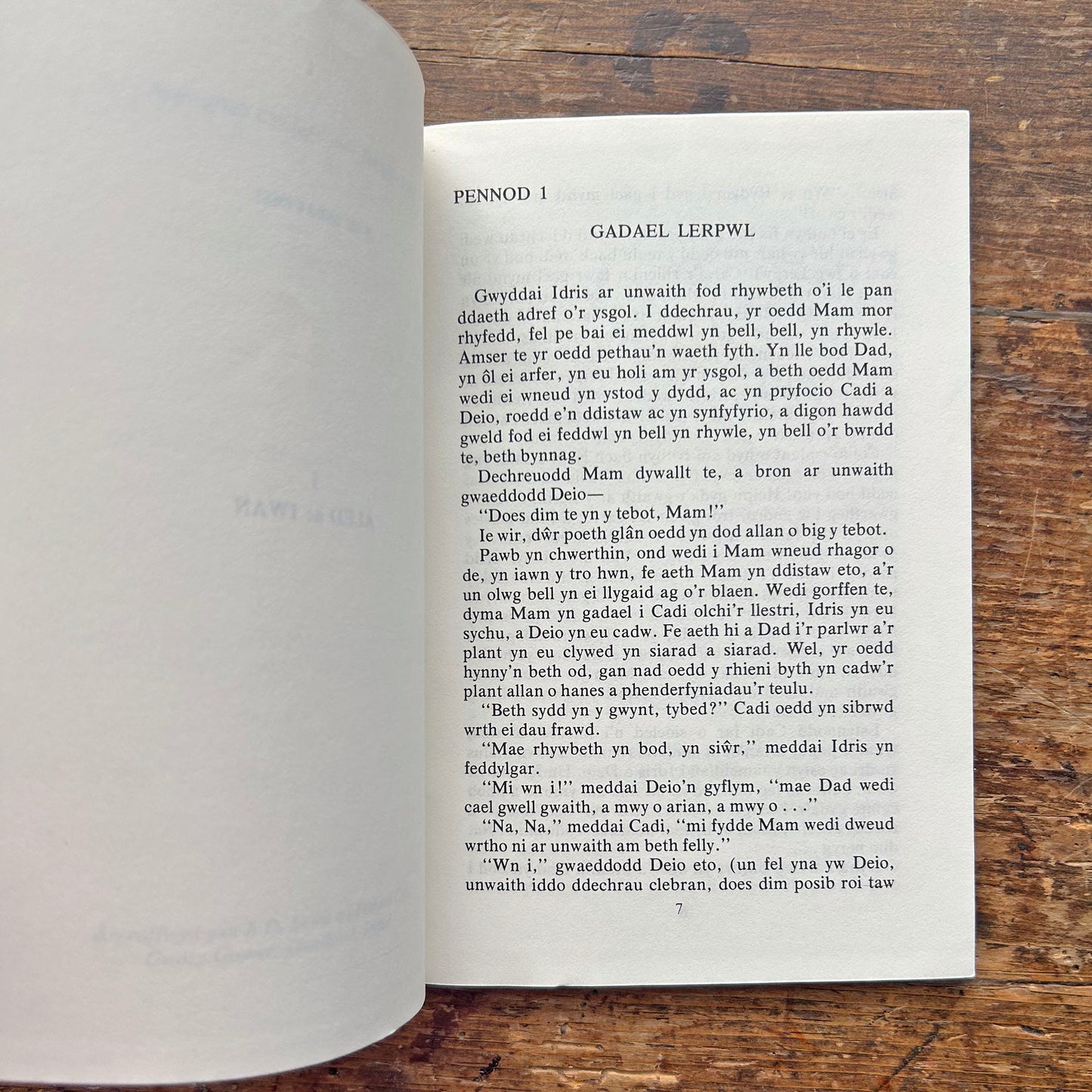 Yr Ynys Unig - Olwen Llywelyn Walters - Ghost Story - Signed (Preloved)