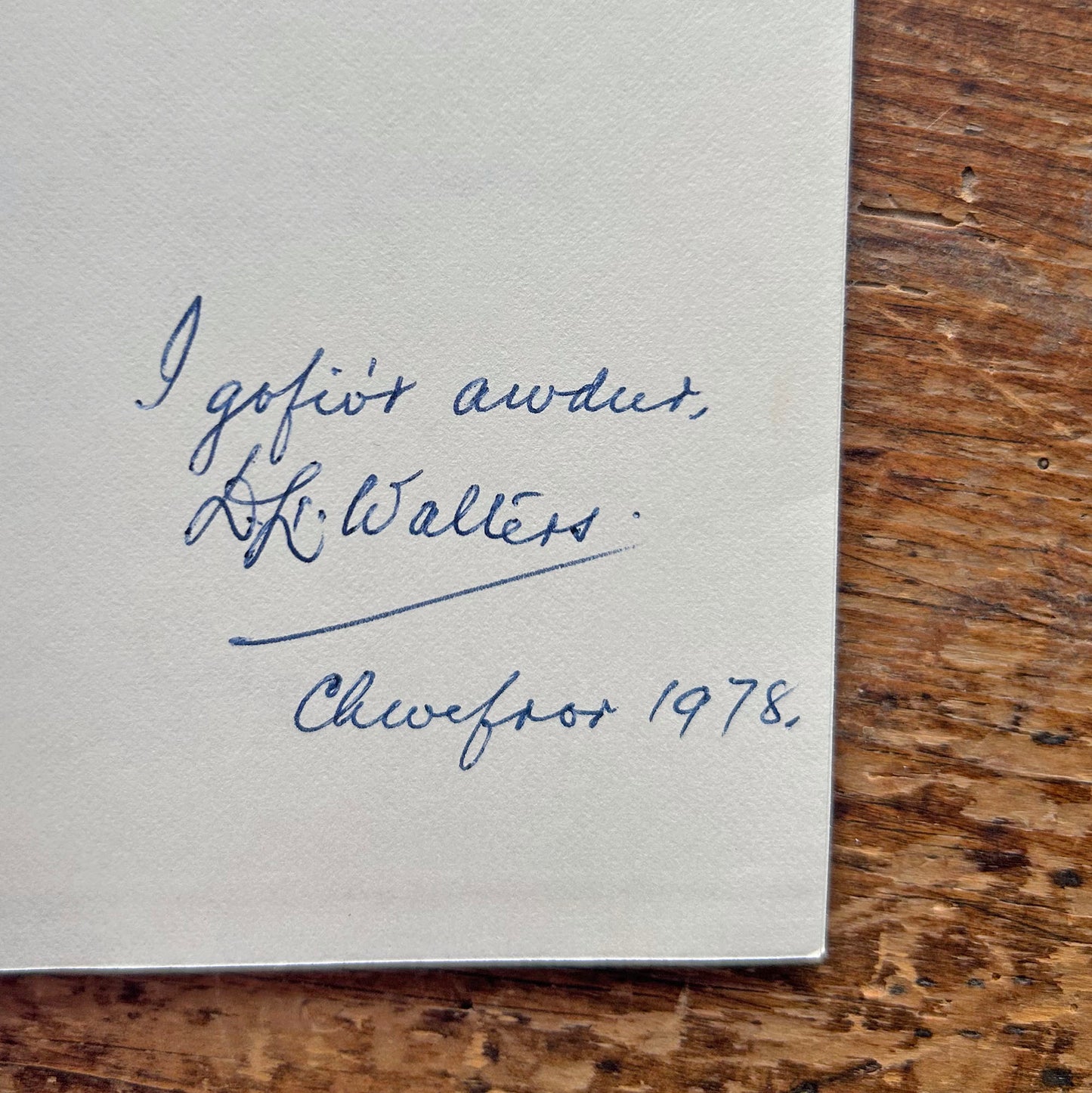 Yr Ynys Unig - Olwen Llywelyn Walters - Ghost Story - Signed (Preloved)
