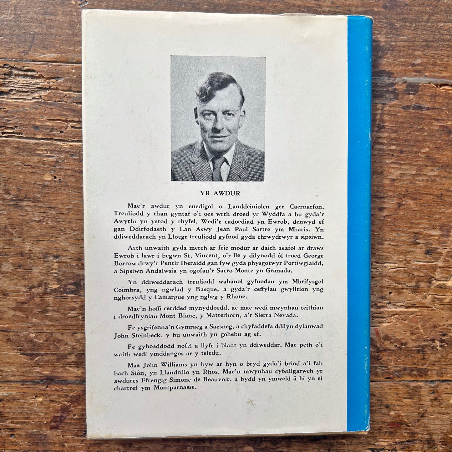 Yr Ynys Wydr - John E. Williams (Preloved)