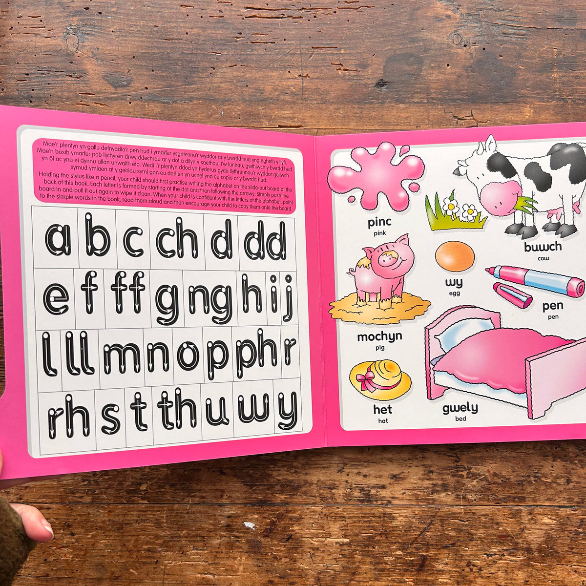Ysgrifennu Geiriau Cyntaf / Writing My First Words (Preloved)