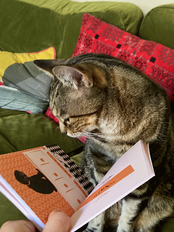 Teach Your Cat Welsh - Anne Cakebread