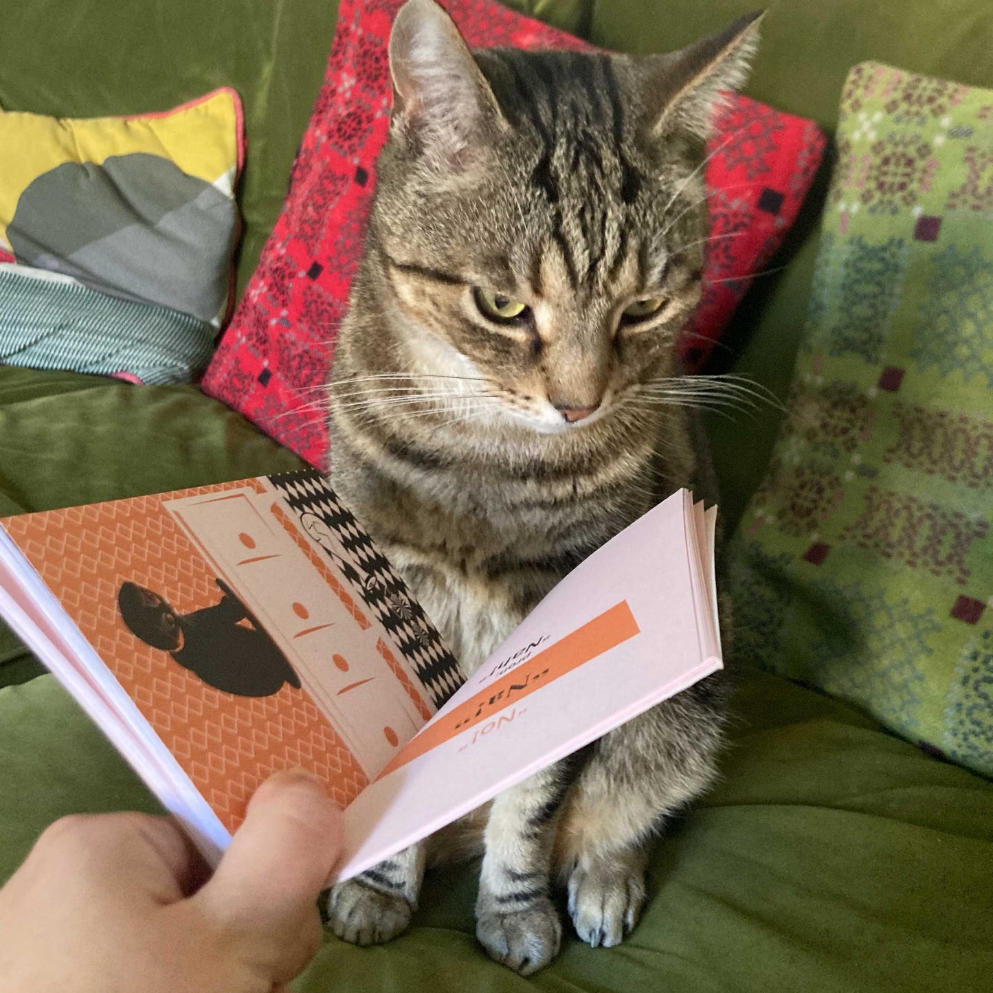 Teach Your Cat Welsh - Anne Cakebread