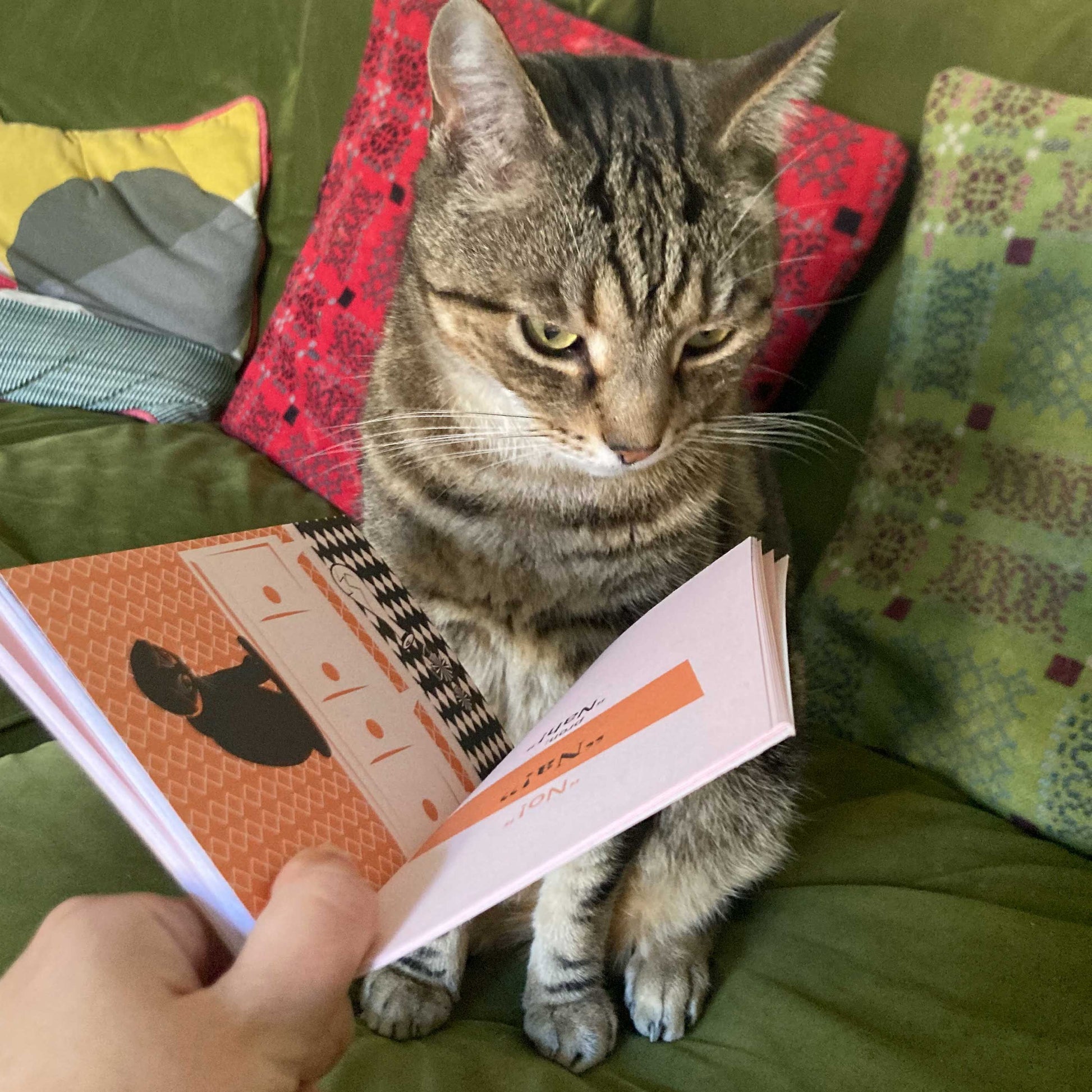 Teach Your Cat Welsh - Anne Cakebread