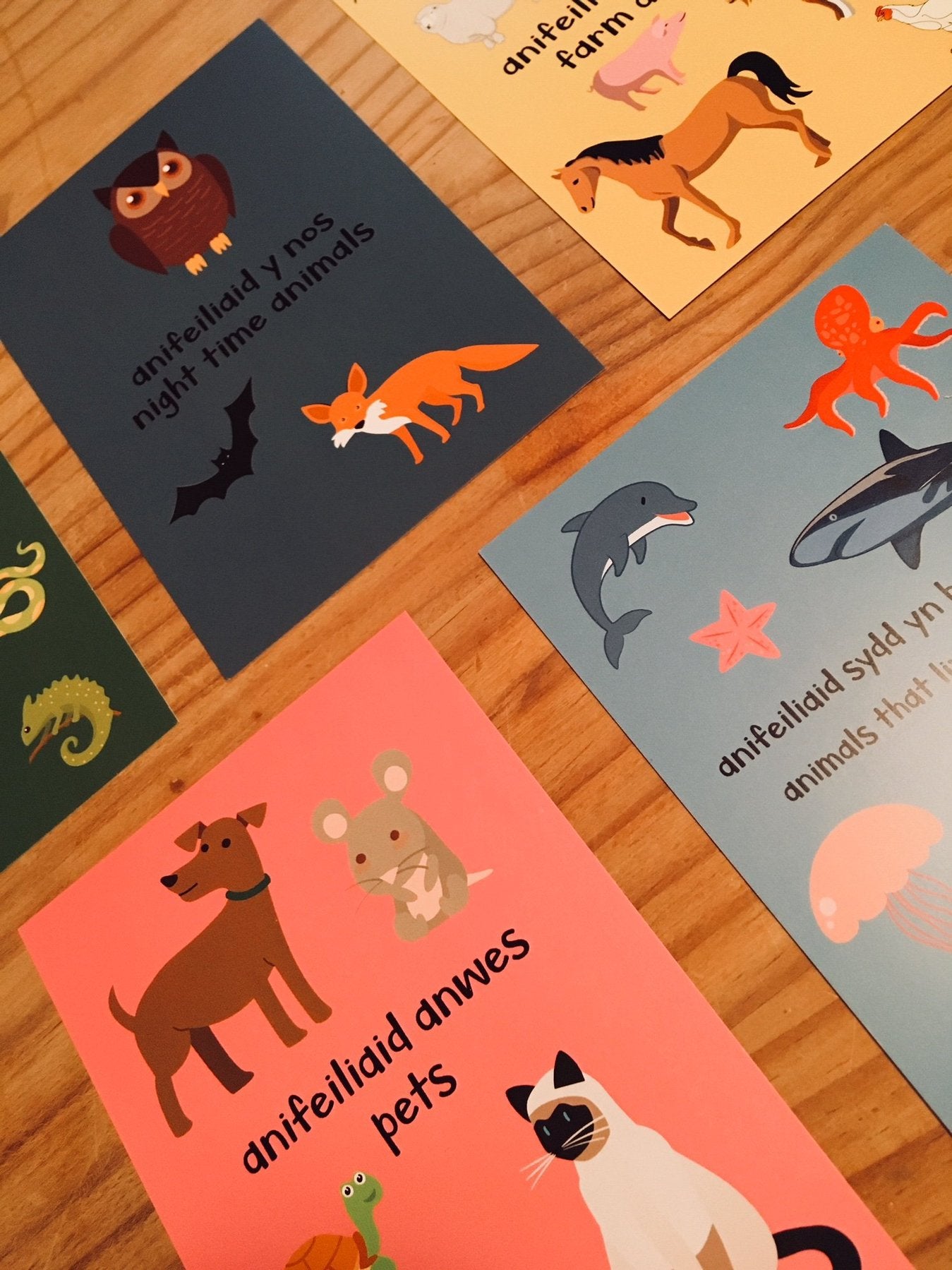 Welsh Flash Cards - Animals