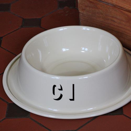 Pet Bowl - Welsh - Cat / Dog - Cath / Ci - Enamel