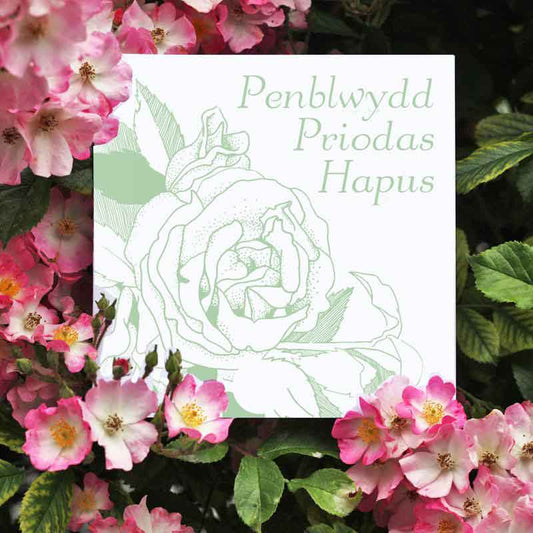 Card - Penblwydd Priodas Hapus - Happy Wedding Anniversary