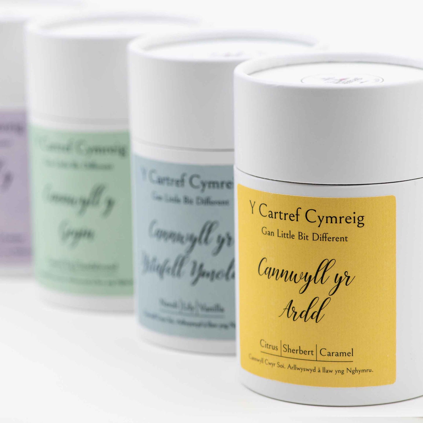 Candle - Cannwyll y Lolfa / Lounge / Living Room - Green leaf, cedar, amber