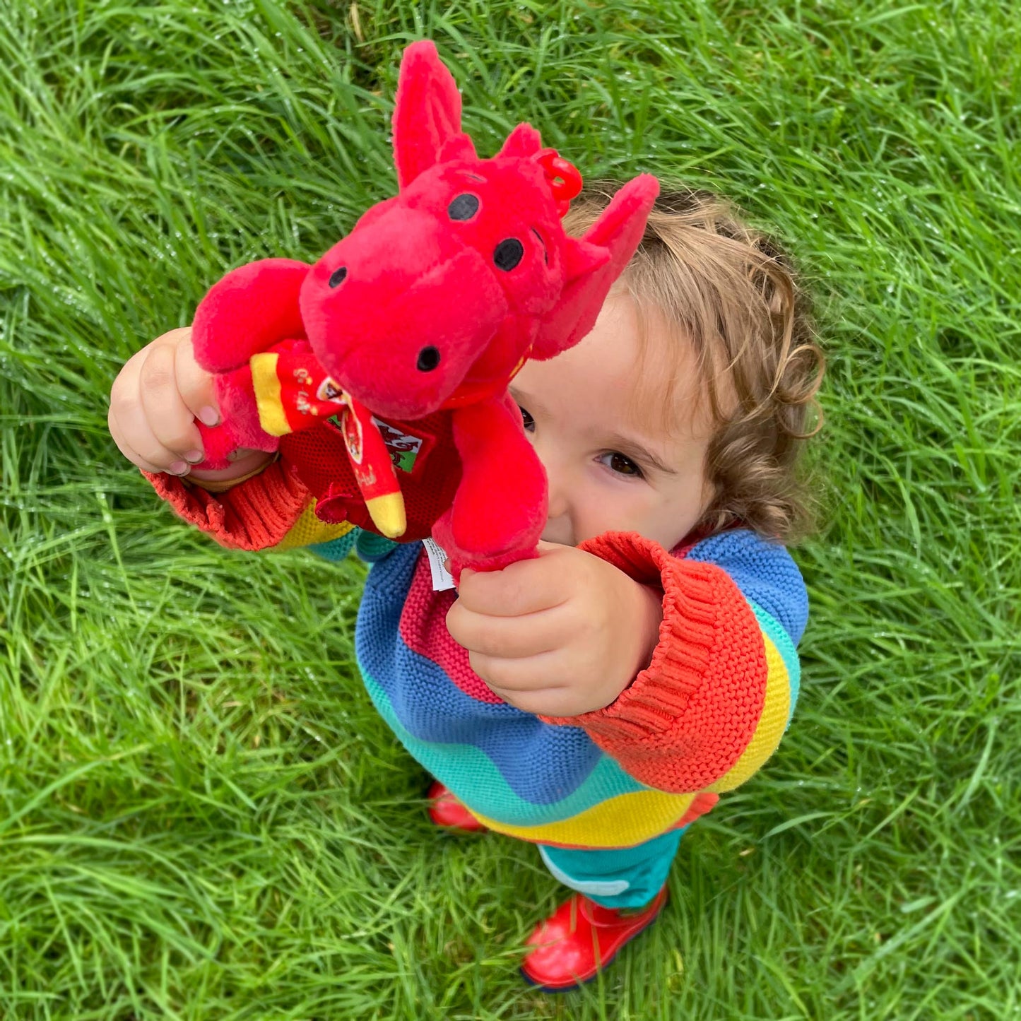 Toy - Celt - Singing Baby Dragon - Welsh National Anthem