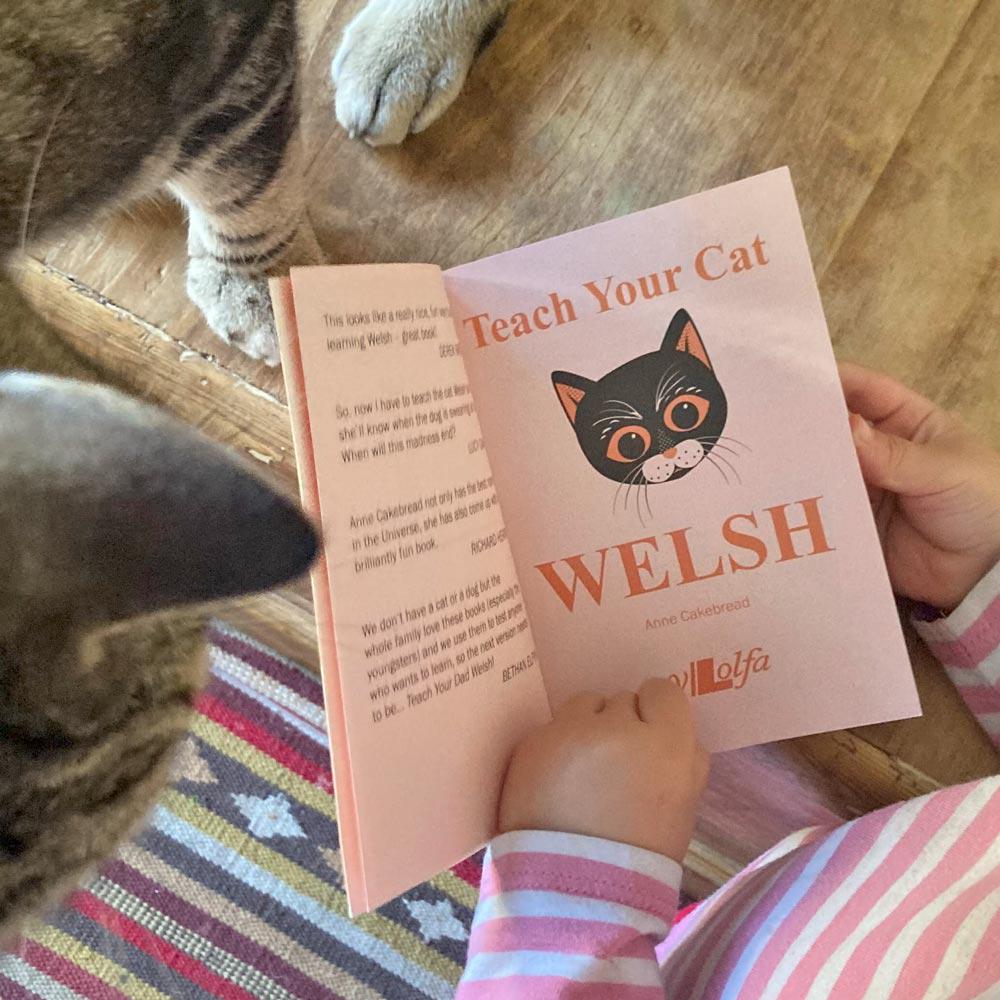 Teach Your Cat Welsh - Anne Cakebread