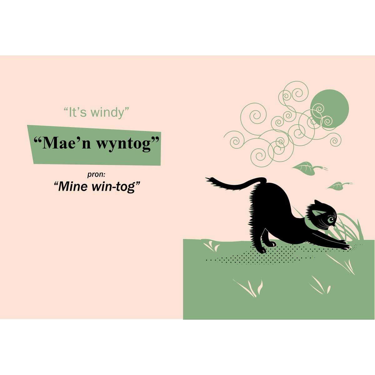 Teach Your Cat Welsh - Anne Cakebread