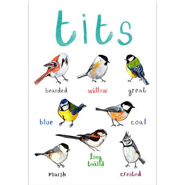 Poster / Print - Welsh Artist - Birds - Tits / Titws