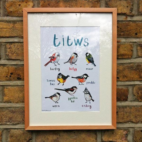 Poster / Print - Welsh Artist - Birds - Tits / Titws