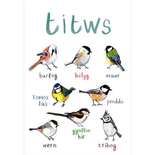 Poster / Print - Welsh Artist - Birds - Tits / Titws