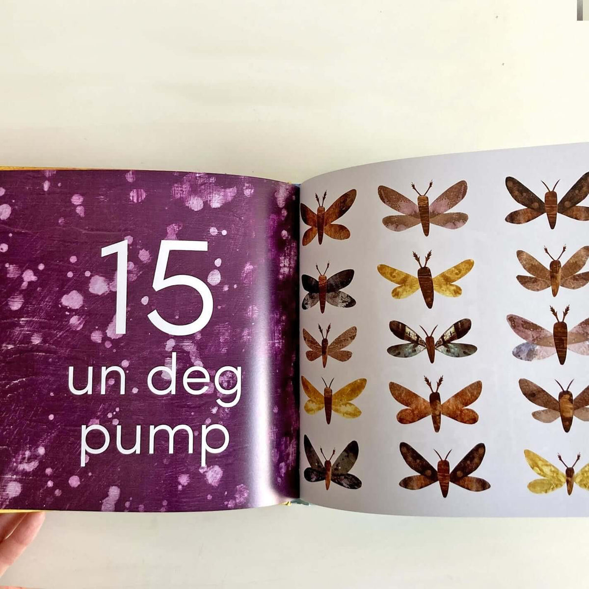 123 Byd Natur - Welsh Numbers - Luned Aaron