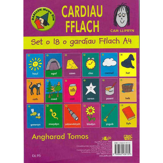 Welsh Flash Cards - Pecyn Cam Y Llipryn Llwyd