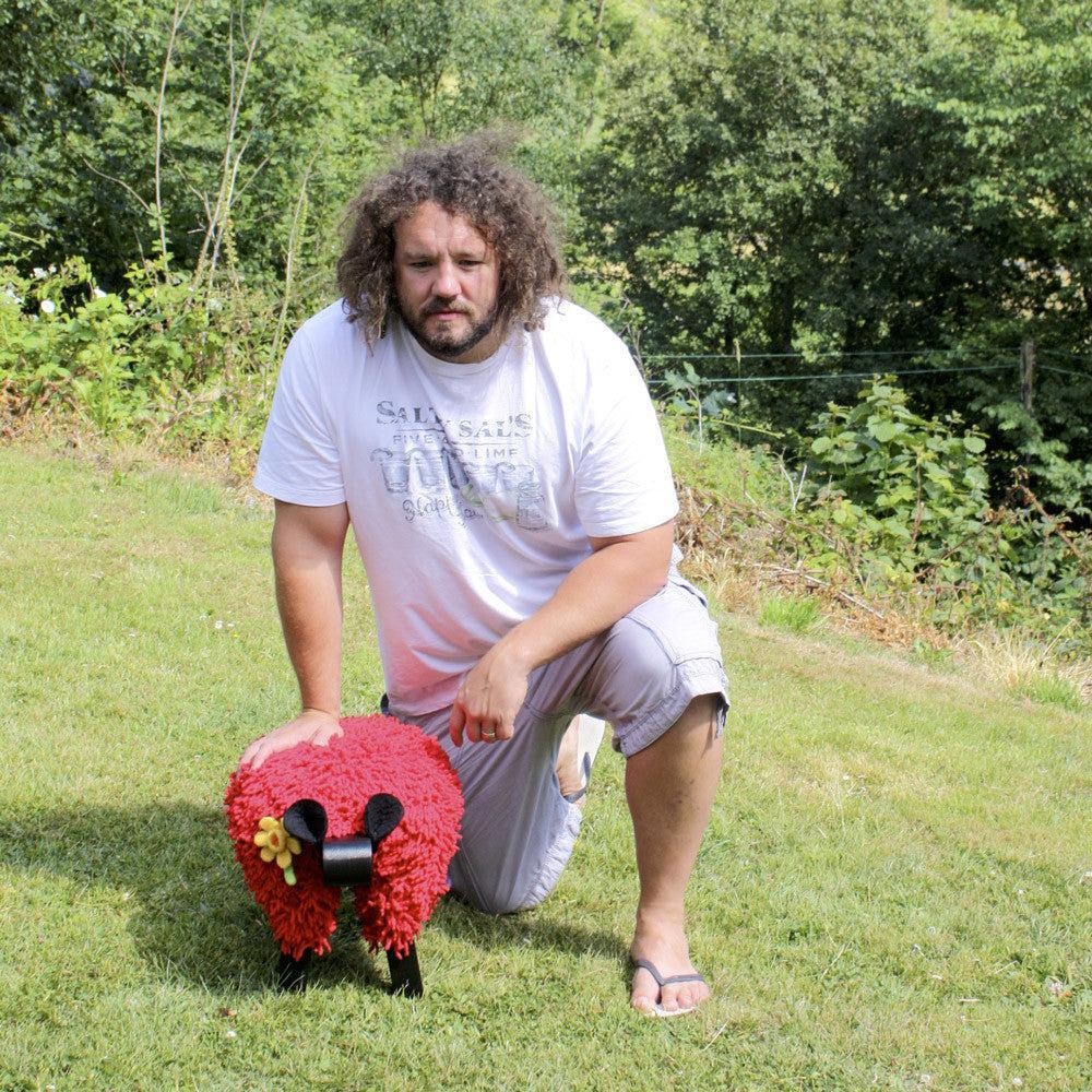 Foot Rest - Welsh Sheep - Original Ewemoo - Welsh Red Edition with Daffodil