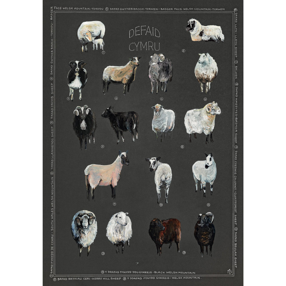 Tea Towel - Welsh Sheep - Defaid Cymru