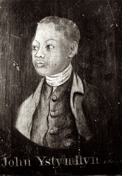 The Remarkable Life of John Ystumllyn: 18th-Century Gardener, Pioneer, and Adopted Son of Eifionydd