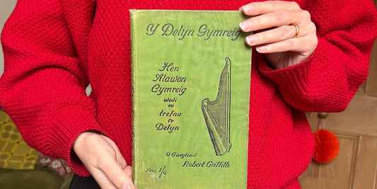 Our First Auction, A Rare Book and a Good Cause - Y Delyn Gymreig
