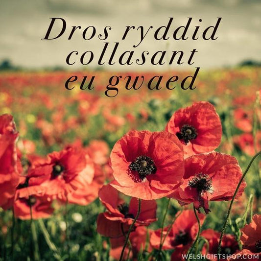 Remembrance Sunday Wales - Dros ryddid collasant eu gwaed