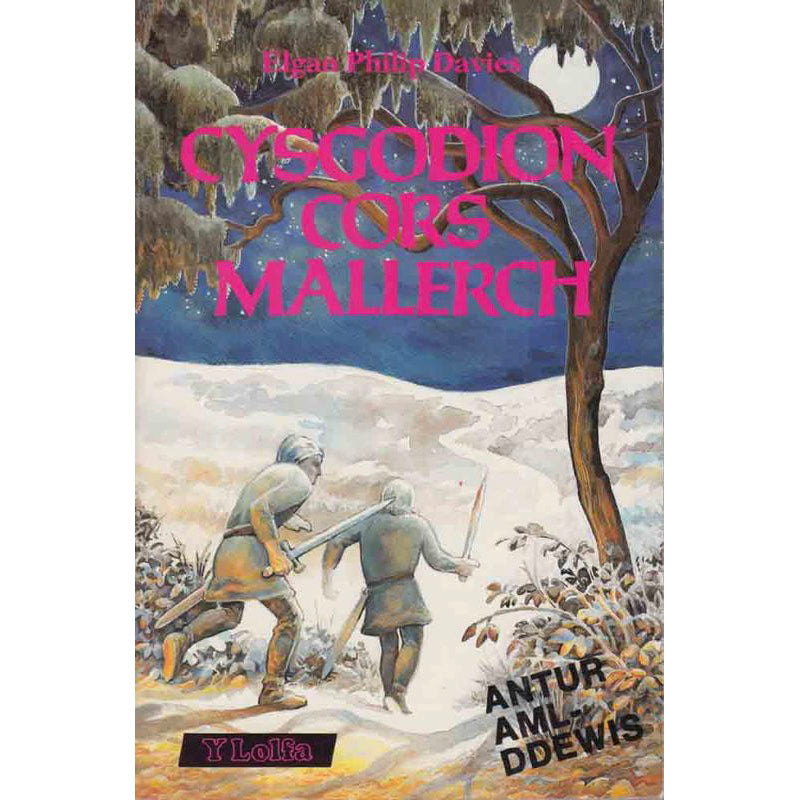 Cysgodion Cors Mallerch - Choose Own Adventure - Elgan Philip Davies