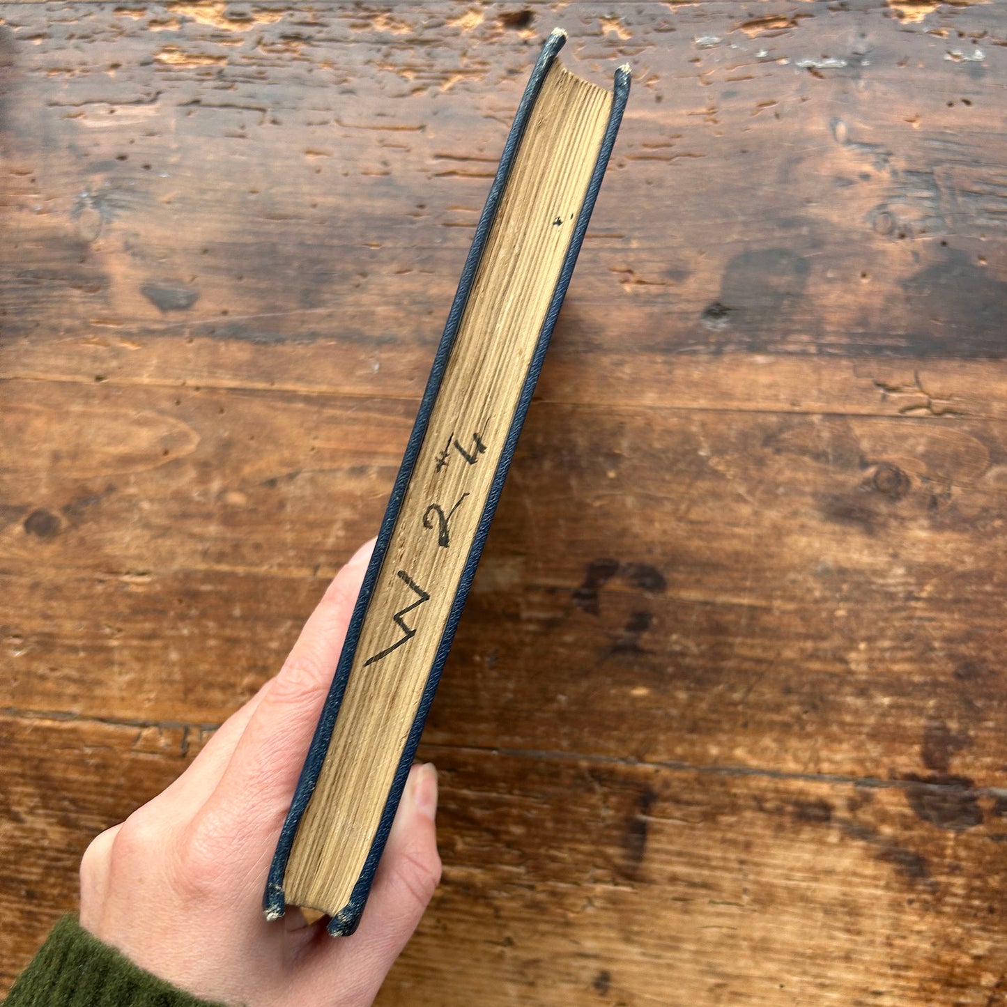 Ceiriog - Detholiad O'i Weithiau - T. Gwynn Jones (Preloved)