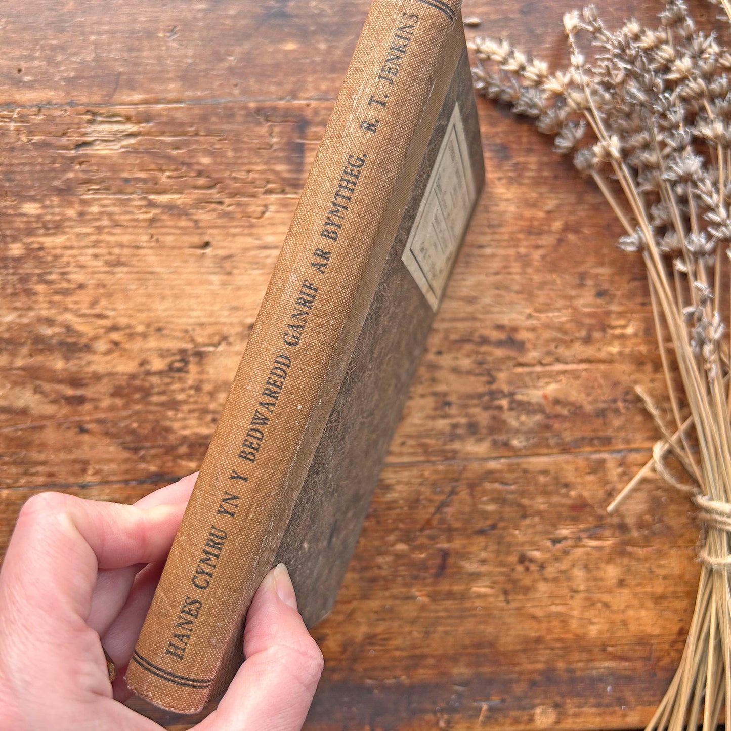 Hanes Cymru yn y Bedwaredd Ganrif ar Bymtheg - 1933 (Preloved)