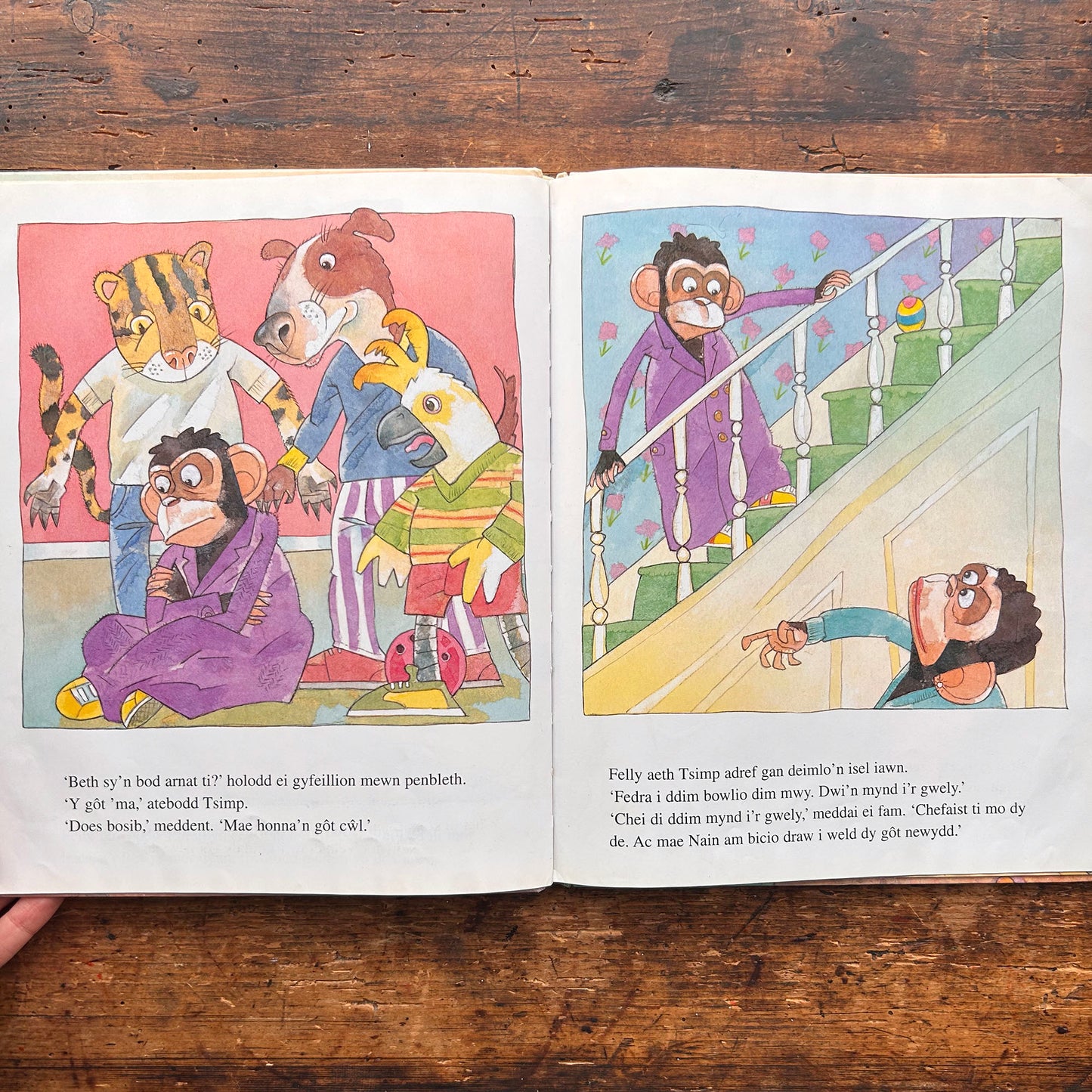 Y Gôt Anghywir - Hiawyn Oram (Preloved)