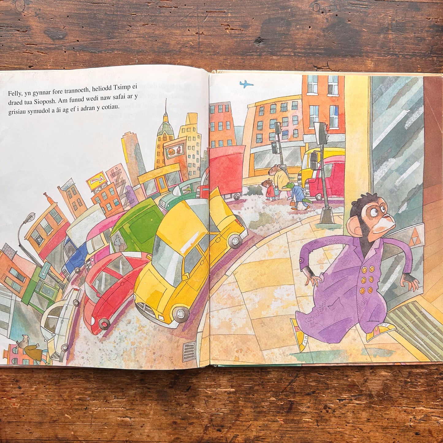 Y Gôt Anghywir - Hiawyn Oram (Preloved)