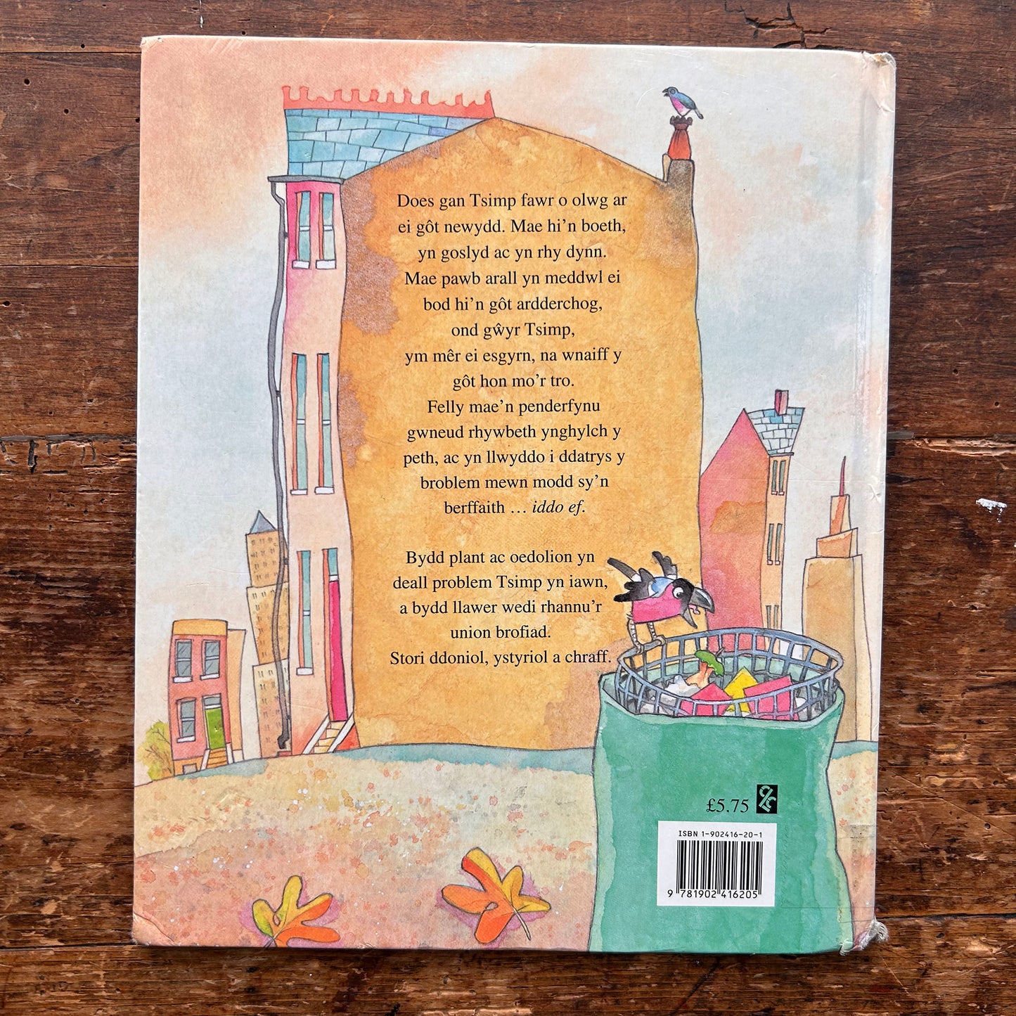 Y Gôt Anghywir - Hiawyn Oram (Preloved)