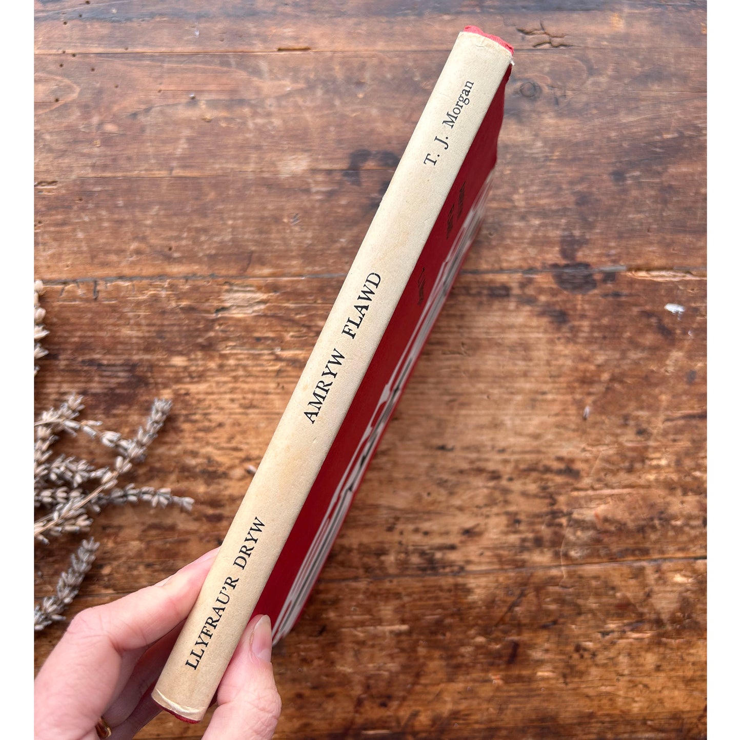 Amryw Flawd - Ysgrifau ac Ystoriau - T. J. Morgan - 1966 1st edition (Preloved)