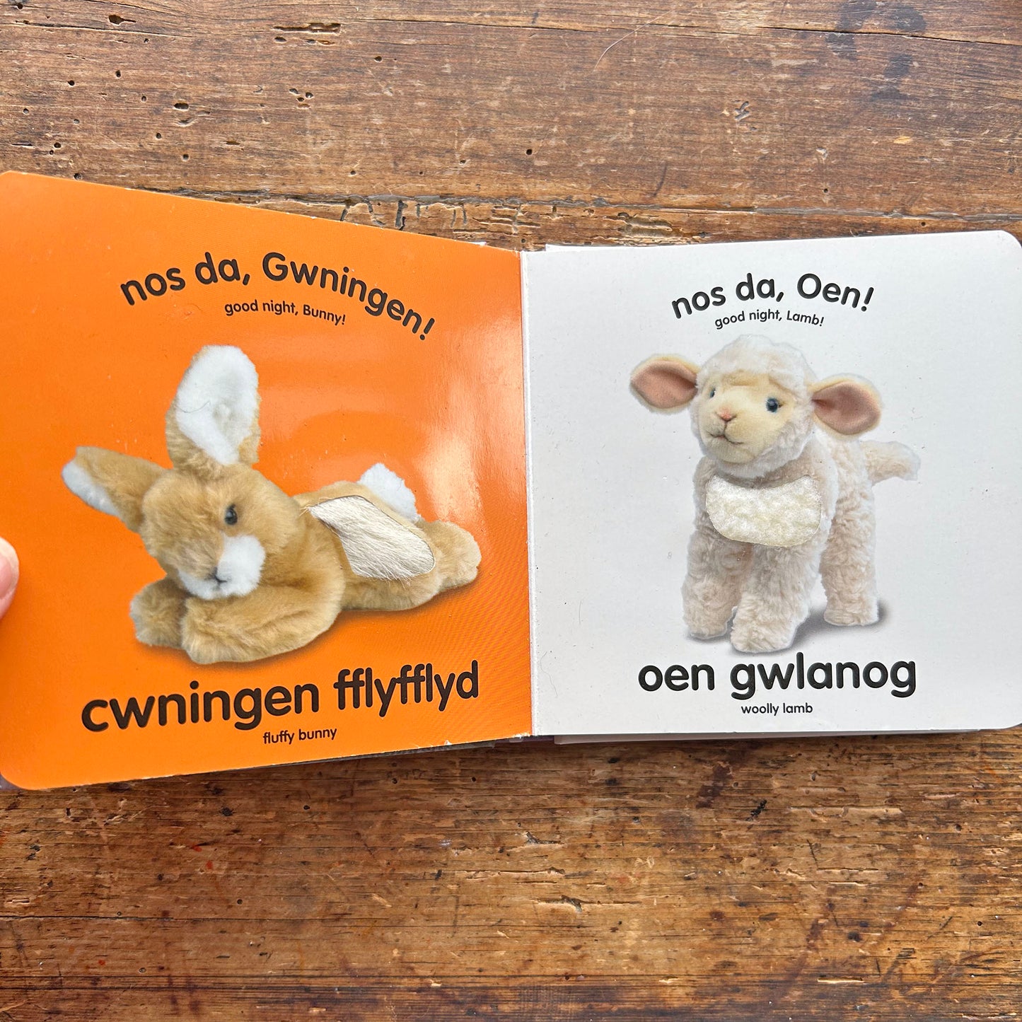 Amser Gwely - Baby Touch and Feel Book (Preloved)
