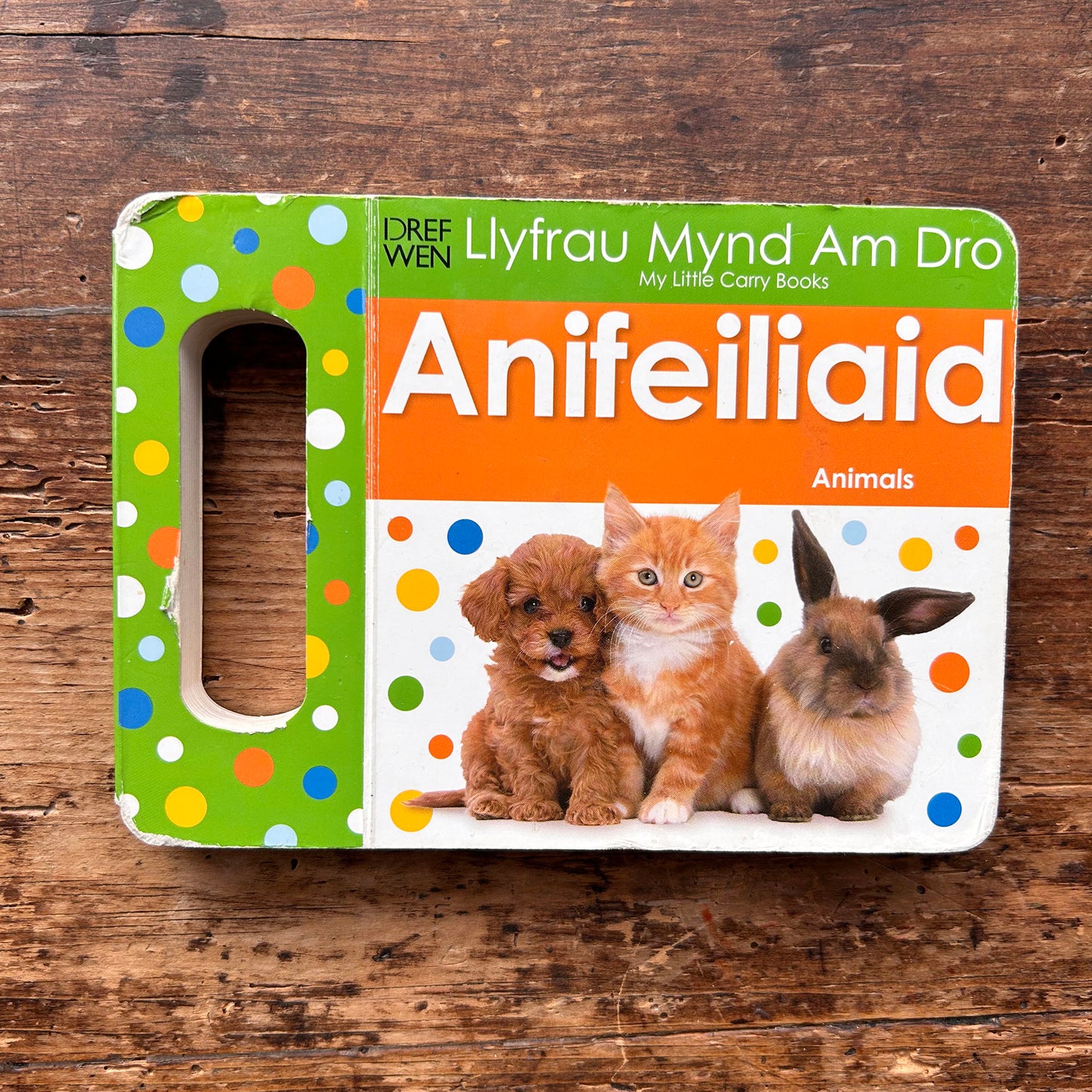 Anifeiliaid / Animals - Llyfrau Mynd am Dro (Preloved)