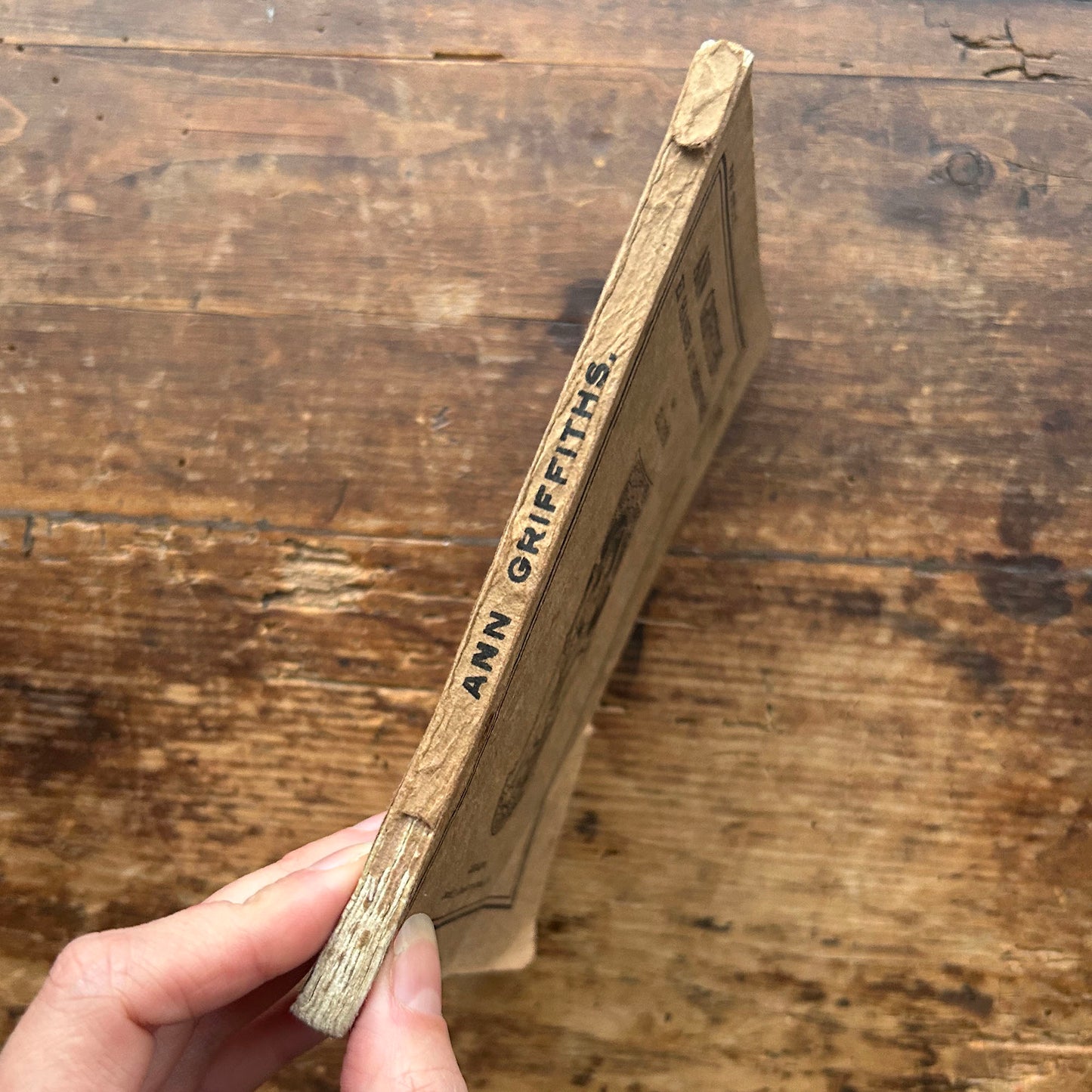 Ann Griffiths: Ei Hanes a'i Hemynau - Elfed (Preloved)