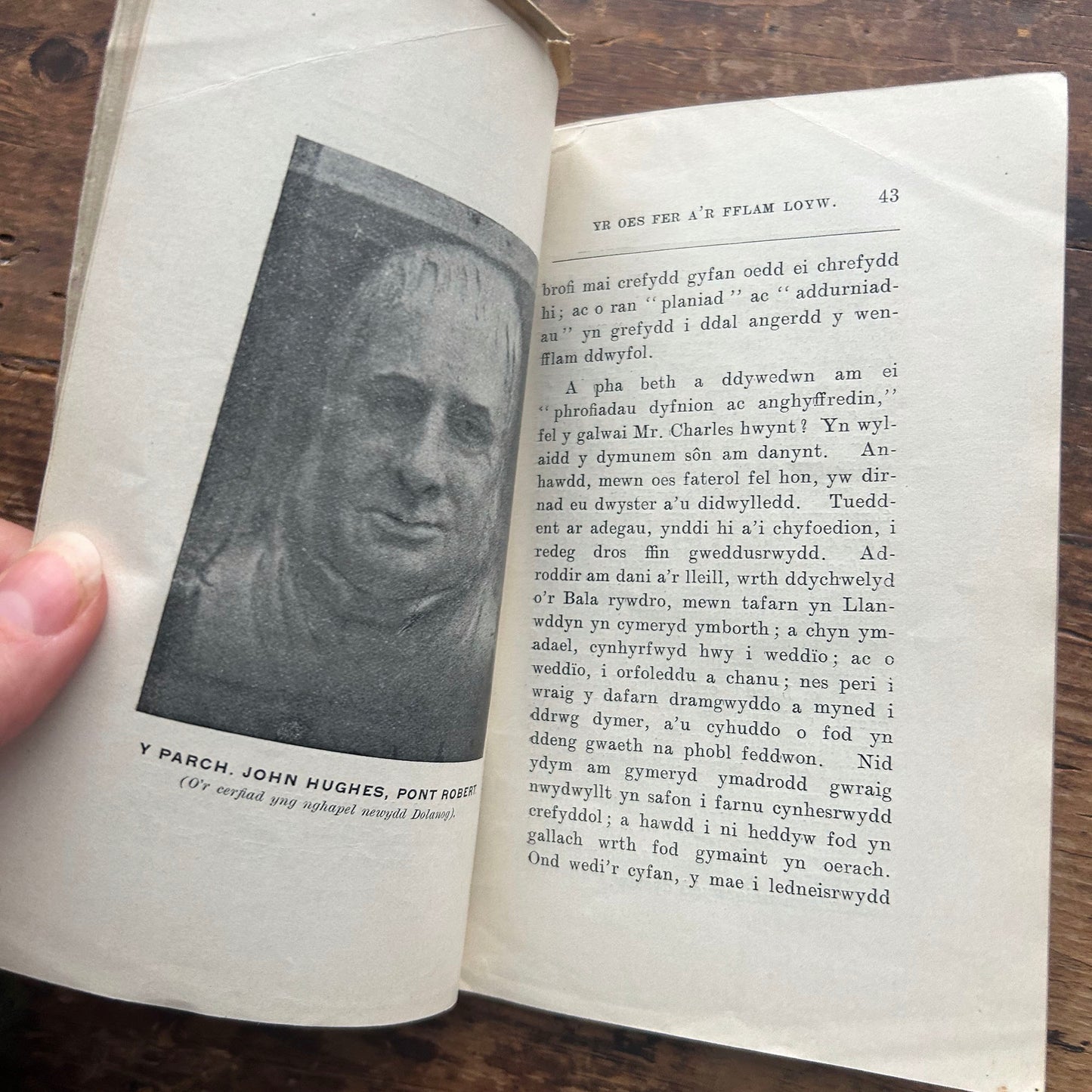 Ann Griffiths: Ei Hanes a'i Hemynau - Elfed (Preloved)